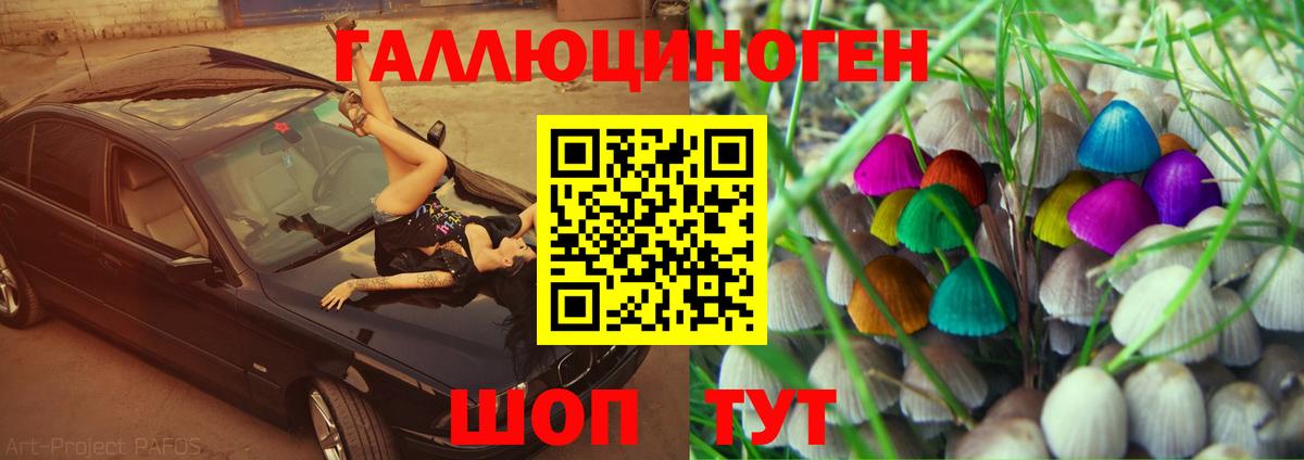 Галлюциногенные грибы Magic Shrooms Великий Устюг